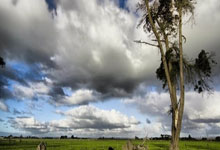 包含Rookie重要时刻出色发挥，公牛带队取胜！再创辉煌时刻的词条